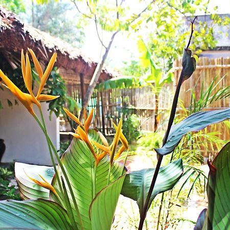 An Bang Purple Homestay Hội An Kültér fotó
