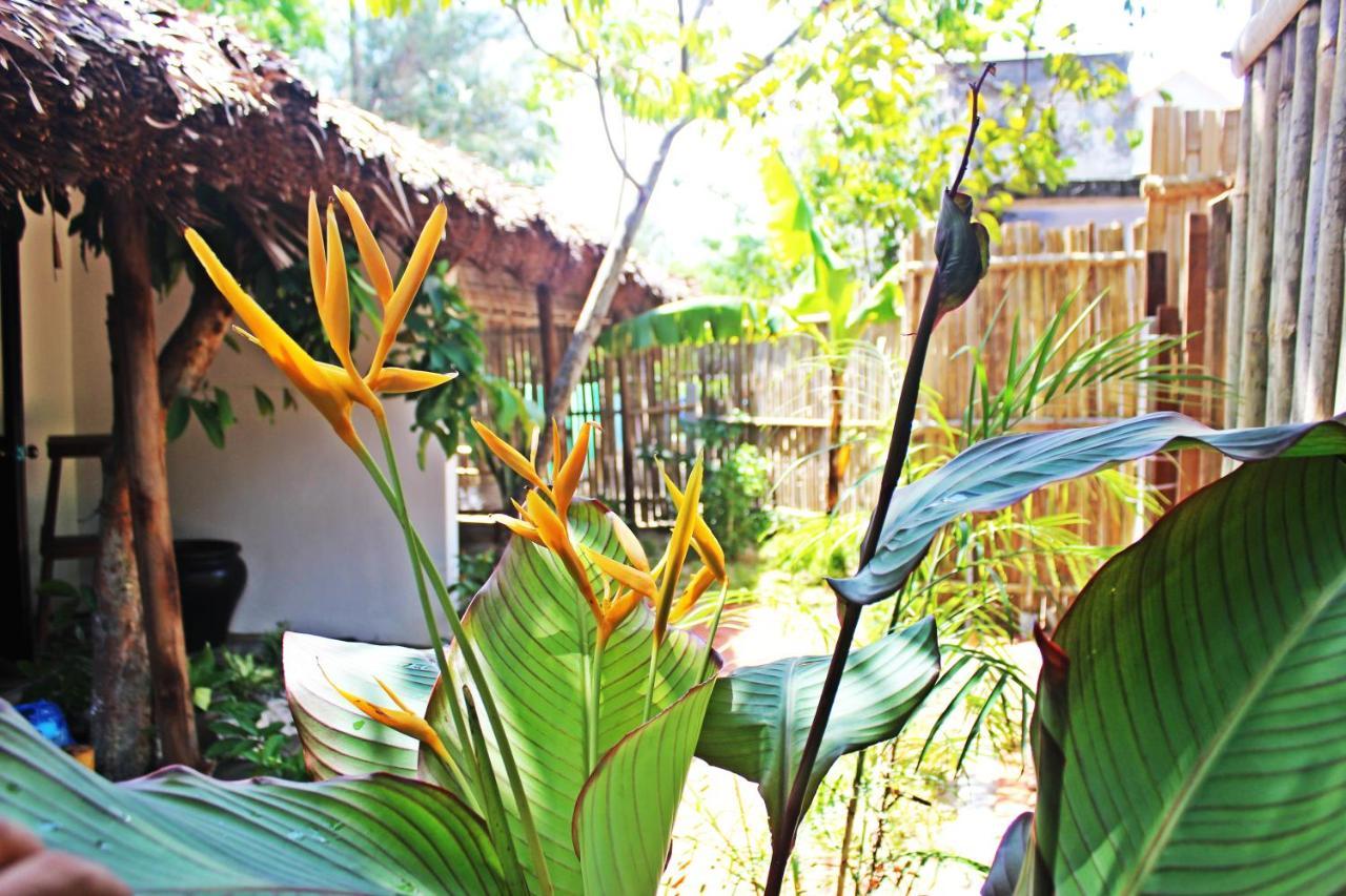 An Bang Purple Homestay Hội An Kültér fotó