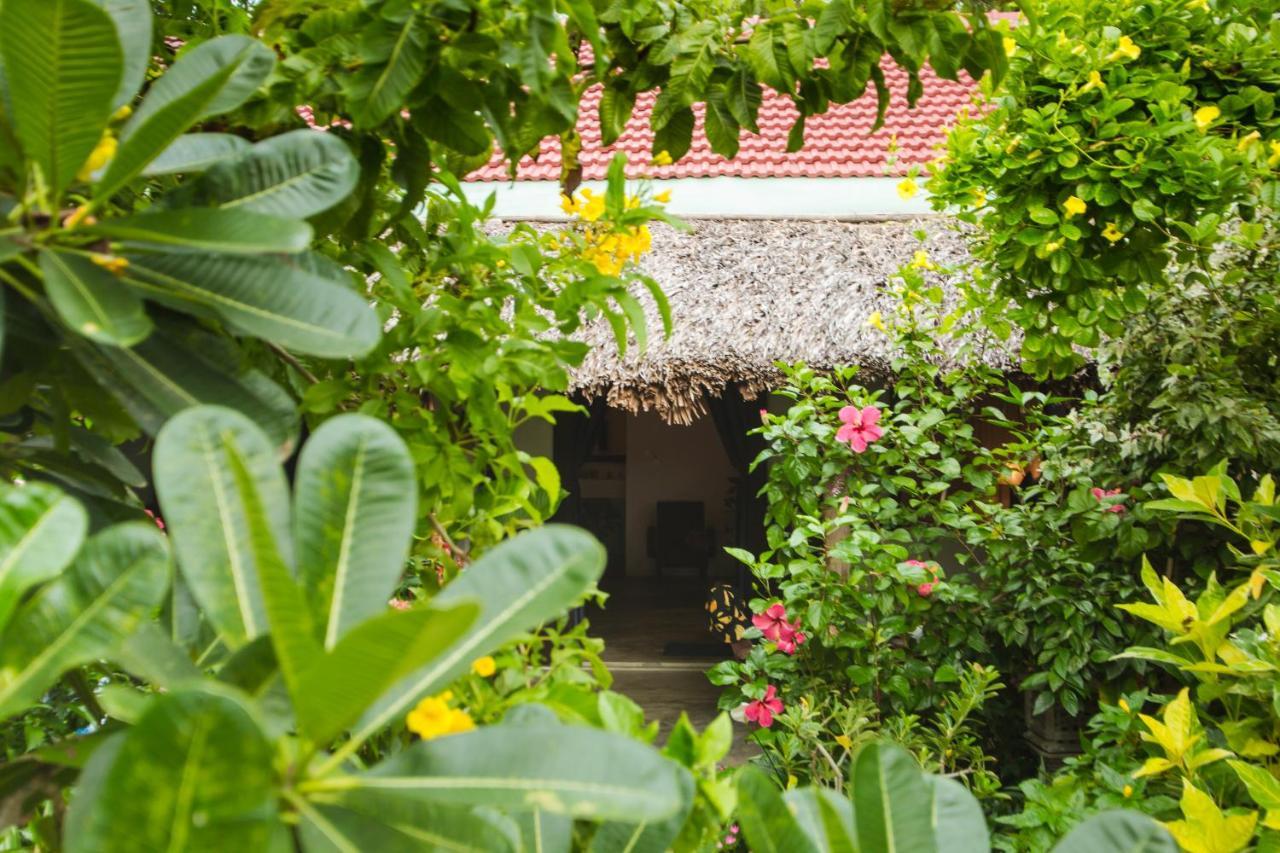 An Bang Purple Homestay Hội An Kültér fotó